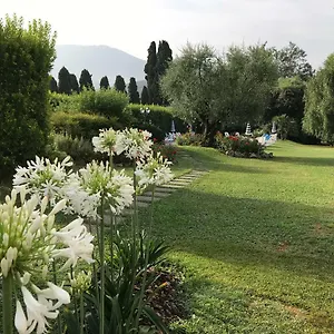 Del Papa Lucca